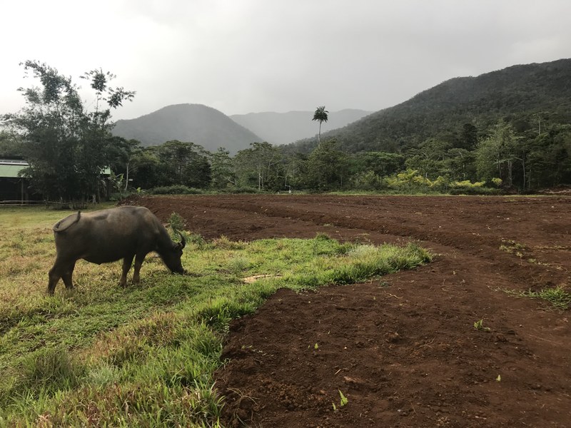 Soutenance publique de thèse de doctorat en Philosophie - Charlotte VYT
