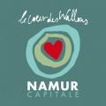 Namur capitale, Namur commémorative