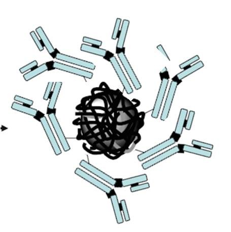 Theraplus : la nanotechnologie en appui de la protonthérapie dans le traitement des cancers