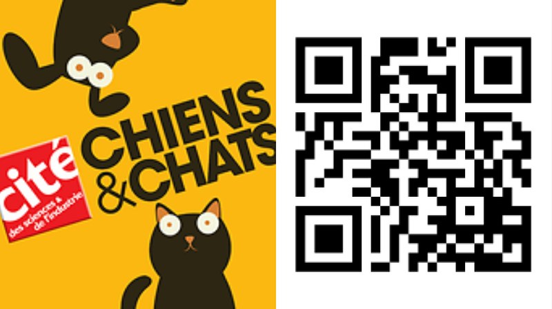 « Chiens & Chats », l’application développée par Namur et Paris