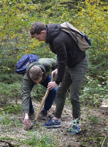 Une solution simple et originale pour reboiser les forêts wallonnes