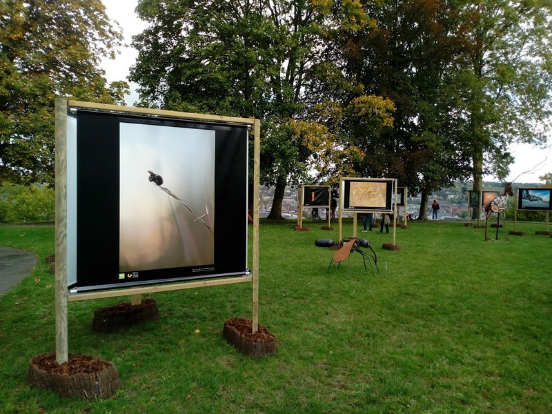 Un membre du personnel expose au Festival International Nature Namur