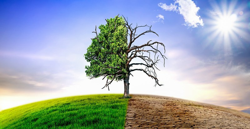 Climat : le doute n’est plus permis !