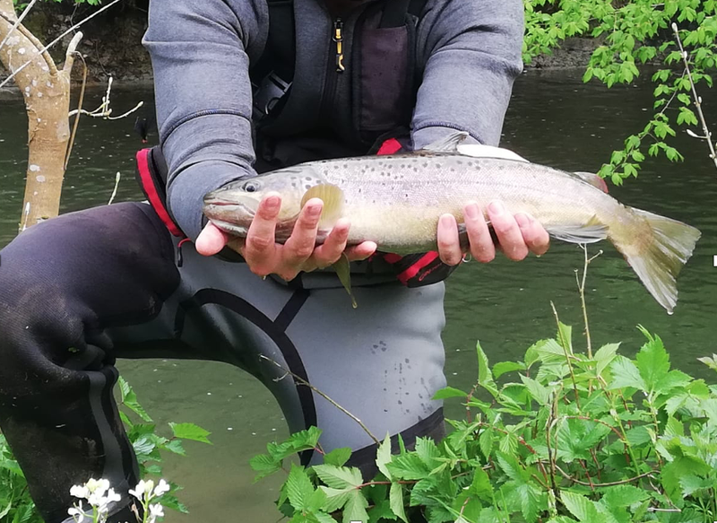 Bientôt la réouverture de la pêche au Domaine d’Haugimont de l’UNamur 