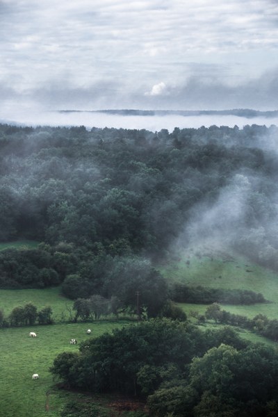 L’UNamur partenaire du nouveau Parc National de l’Entre-Sambre-et-Meuse